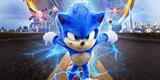 Sonic the hedgehog