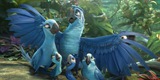 Rio 2